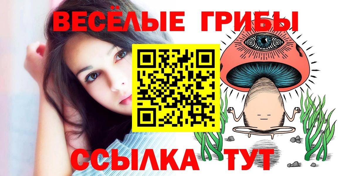 Псилоцибиновые грибы Cubensis Артём