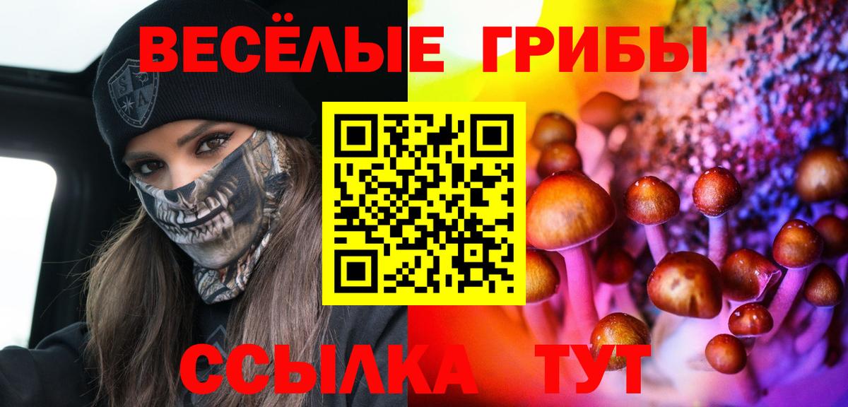 Галлюциногенные грибы мицелий  Вход с VPN  Артём 
